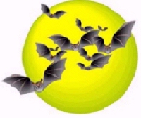 HOoooDown Logo