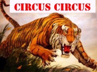 Circus Circus